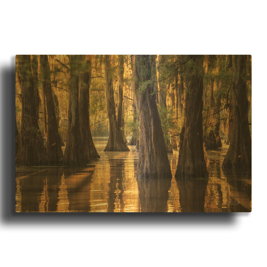 'Natural Beauty' By Martin Podt Gold Metal Wall Art