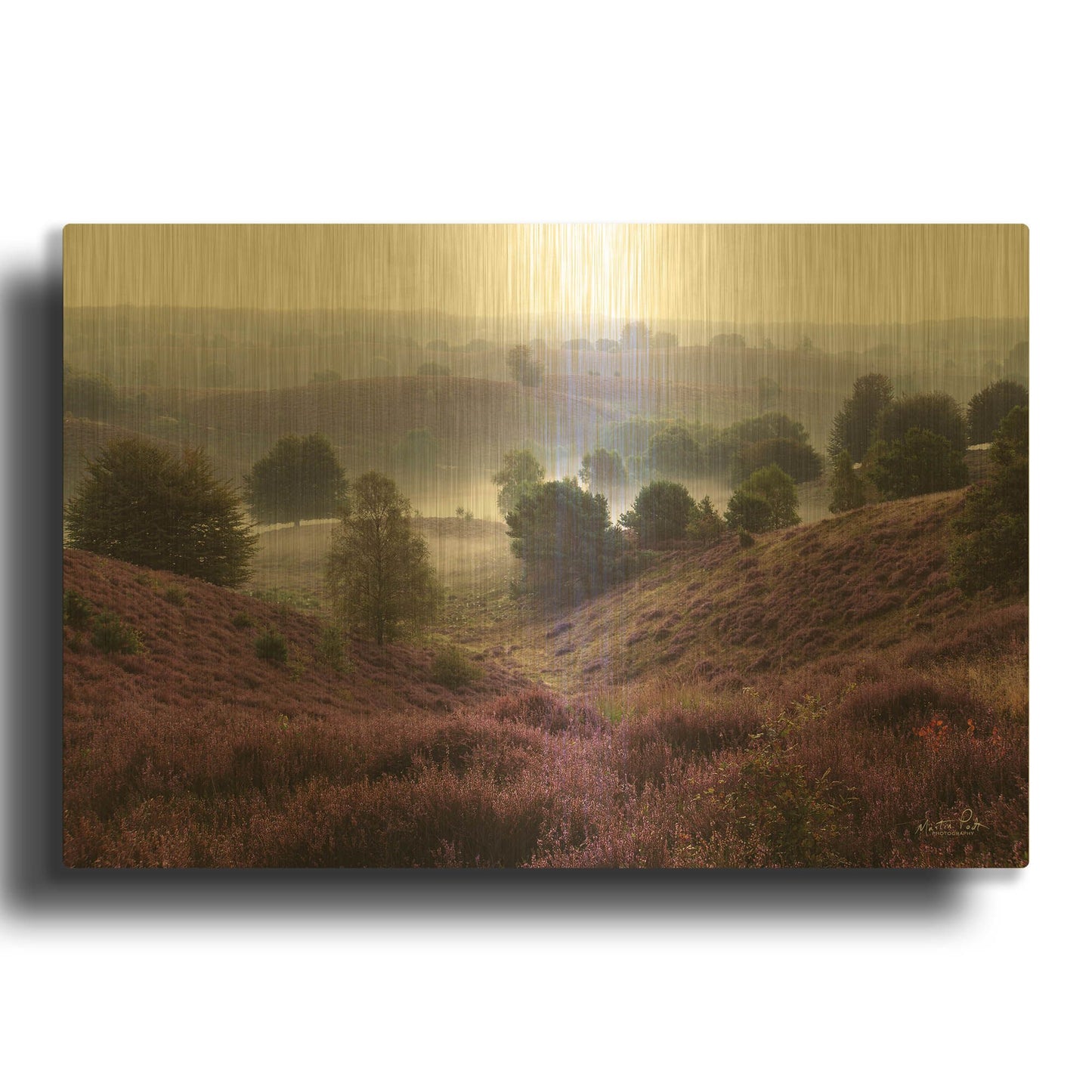 'Oh Yeah' By Martin Podt Gold Metal Wall Art
