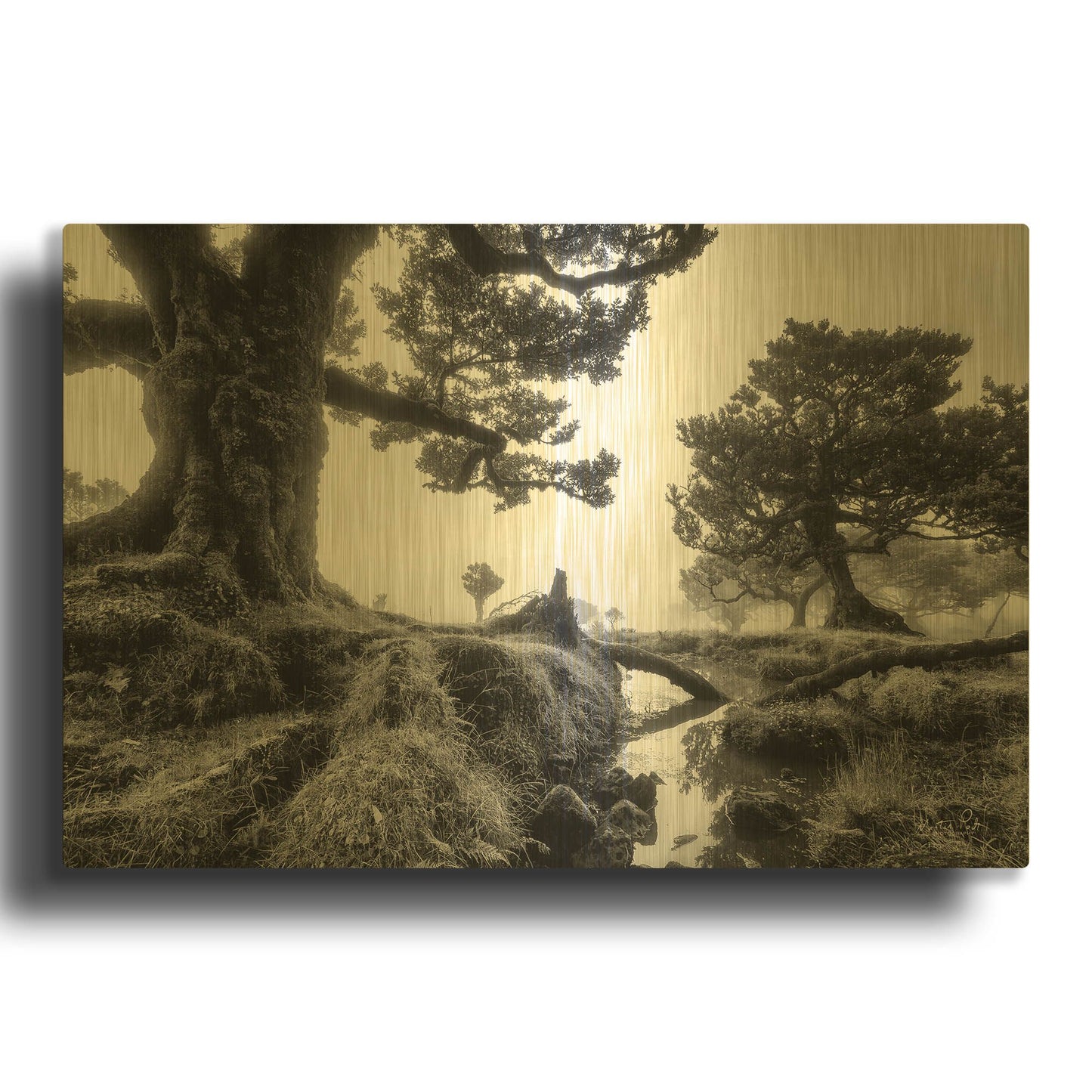 'Black & White Fanal' By Martin Podt Gold Metal Wall Art