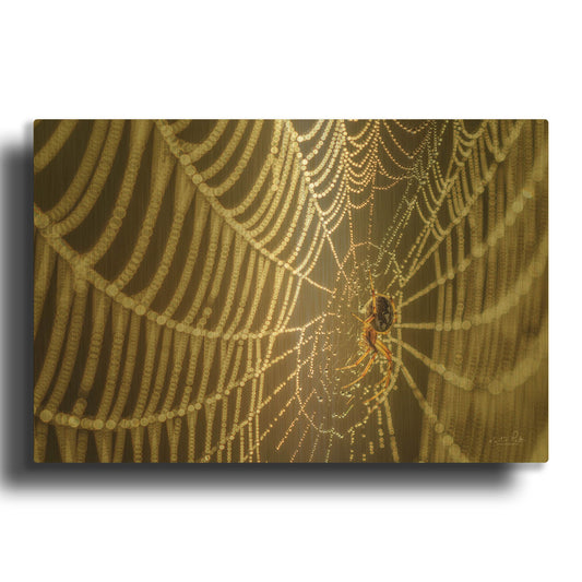'The Spider and Her Jewels' By Martin Podt Gold Metal Wall Art