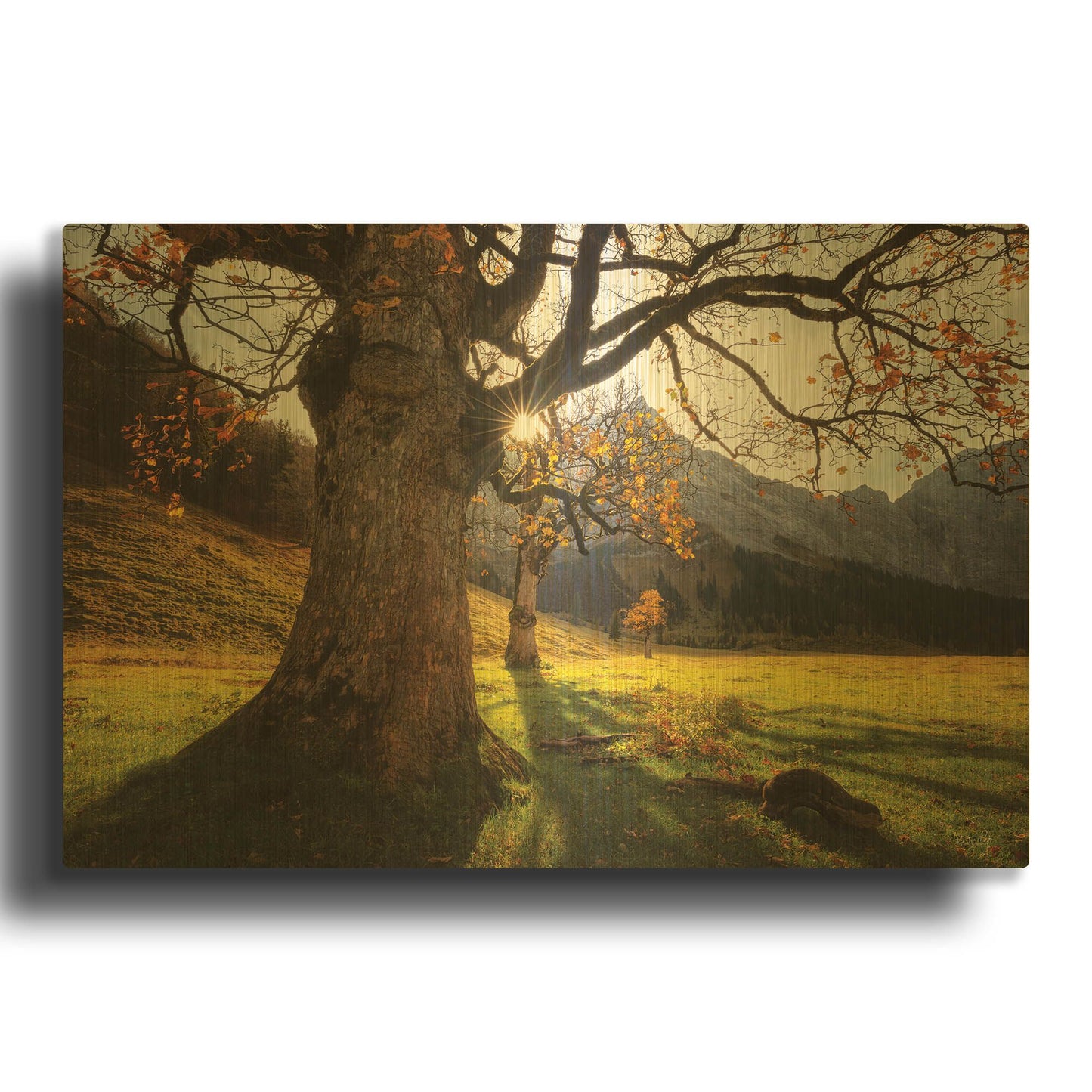 'The Star' By Martin Podt Gold Metal Wall Art