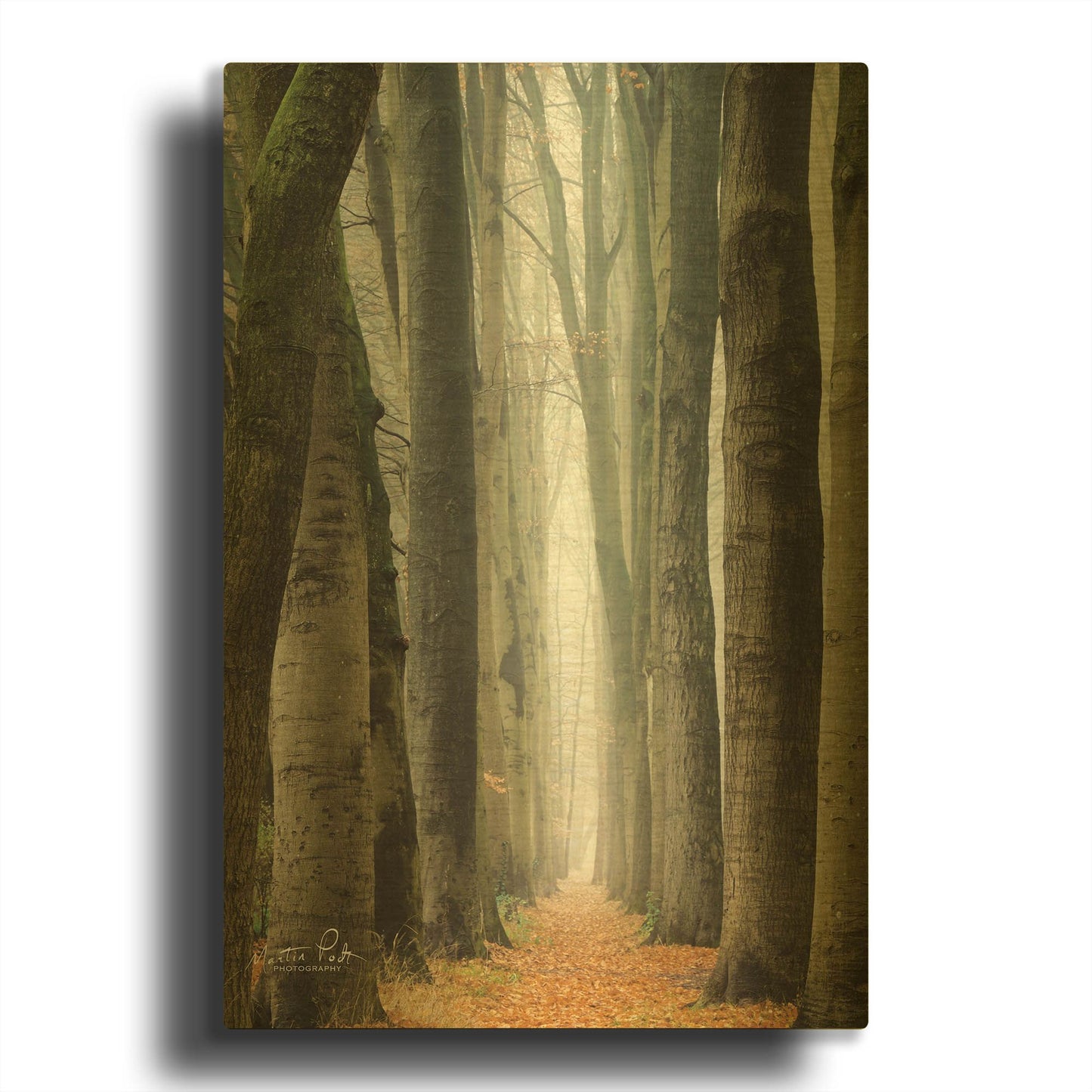 'Narrow Alley in the Netherlands' By Martin Podt Gold Metal Wall Art
