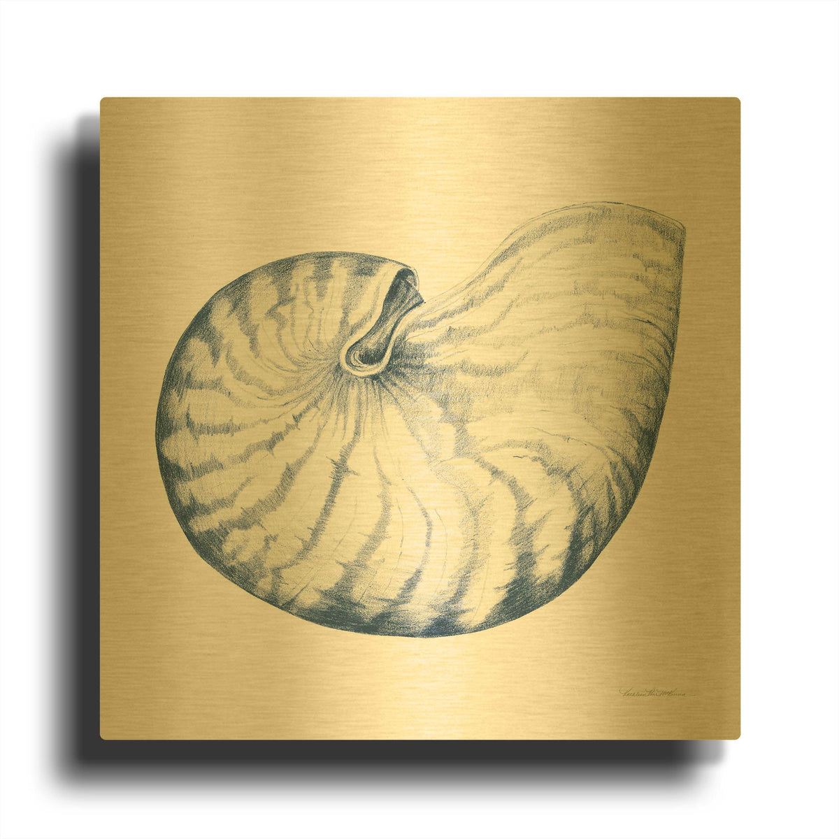 'Shells 1 Blue and White' By Kathleen Parr Gold Metal Wall Art