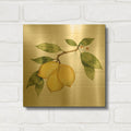 'Citrus Garden 1 Shiplap' By Kathleen Parr Gold Metal Wall Art