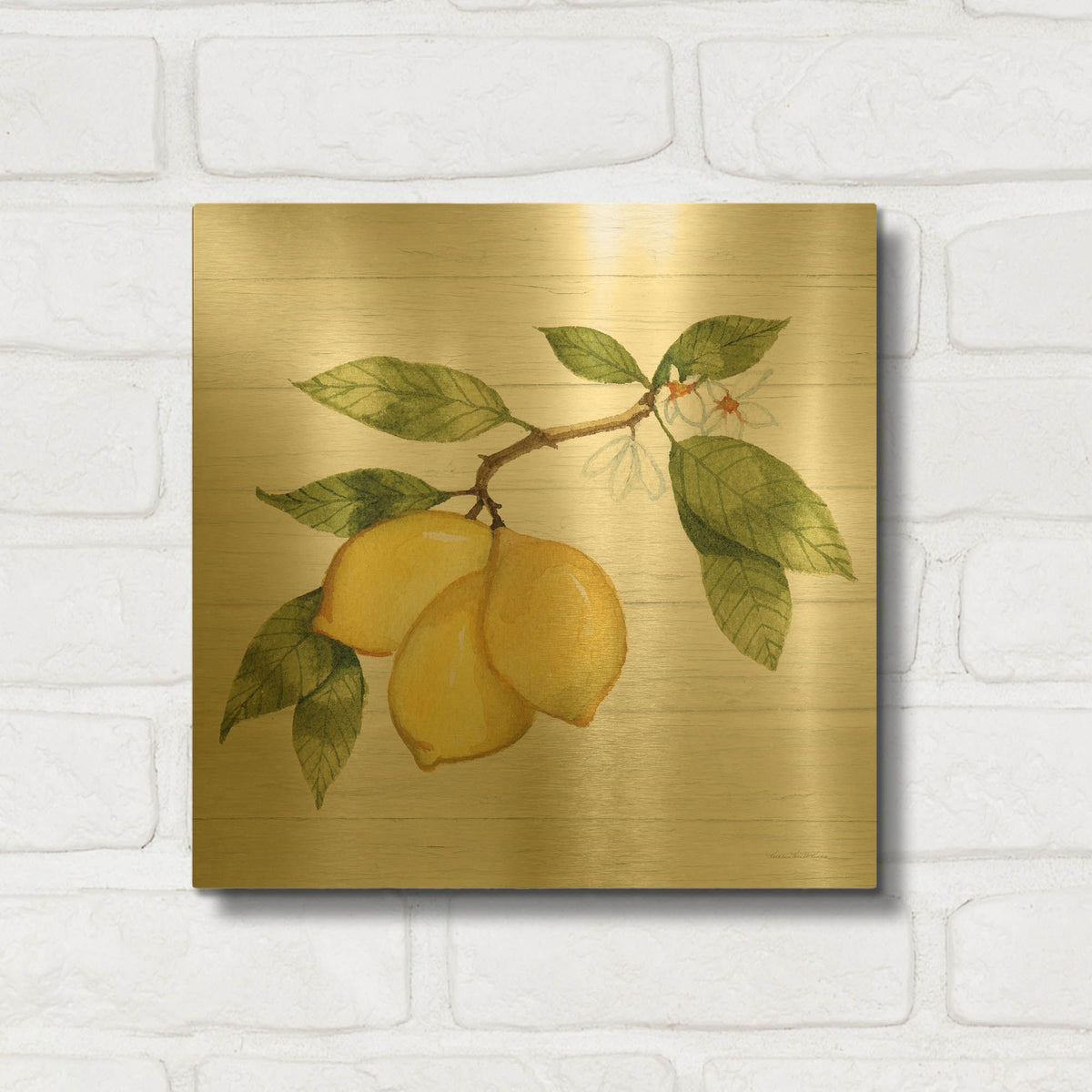 'Citrus Garden 1 Shiplap' By Kathleen Parr Gold Metal Wall Art