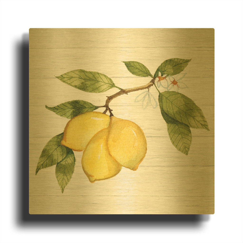 'Citrus Garden 1 Shiplap' By Kathleen Parr Gold Metal Wall Art