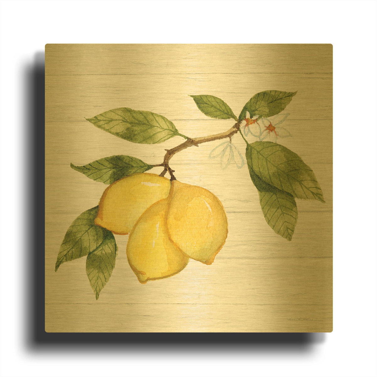 'Citrus Garden 1 Shiplap' By Kathleen Parr Gold Metal Wall Art