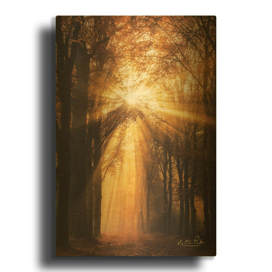 'Sunburst' By Martin Podt Gold Metal Wall Art