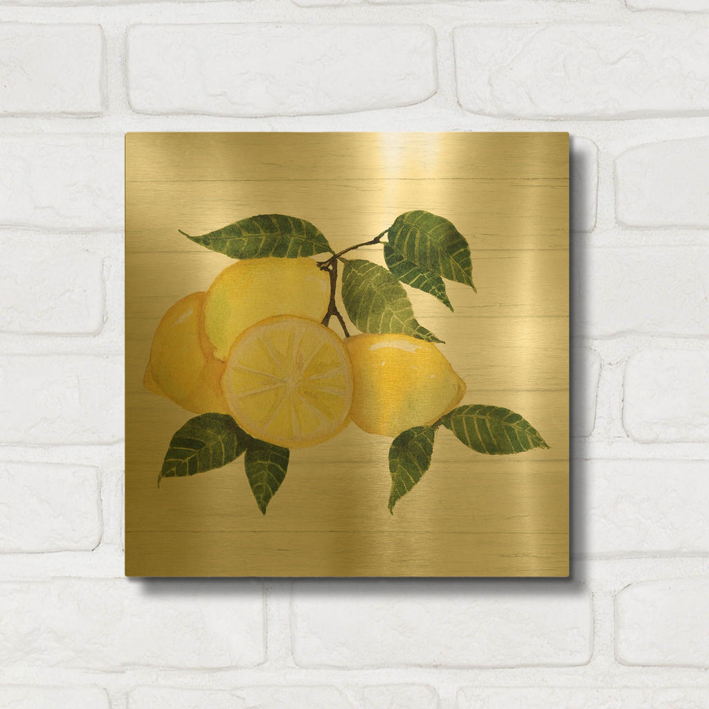 'Citrus Garden 6 Shiplap' By Kathleen Parr Gold Metal Wall Art