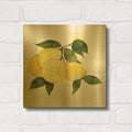 'Citrus Garden 6 Shiplap' By Kathleen Parr Gold Metal Wall Art