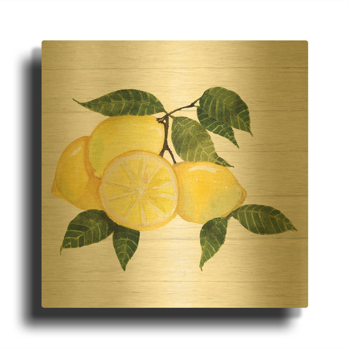 'Citrus Garden 6 Shiplap' By Kathleen Parr Gold Metal Wall Art