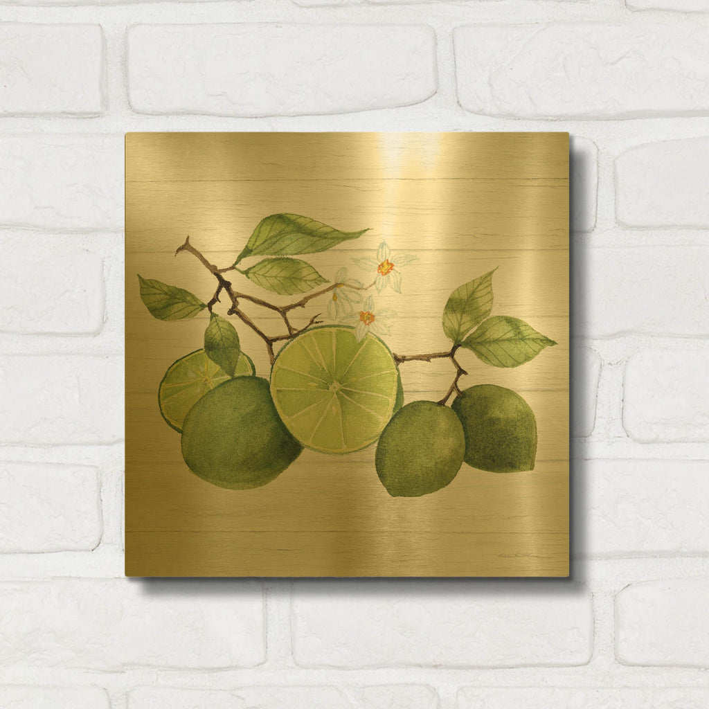 'Citrus Garden 7 Shiplap' By Kathleen Parr Gold Metal Wall Art