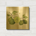 'Citrus Garden 7 Shiplap' By Kathleen Parr Gold Metal Wall Art