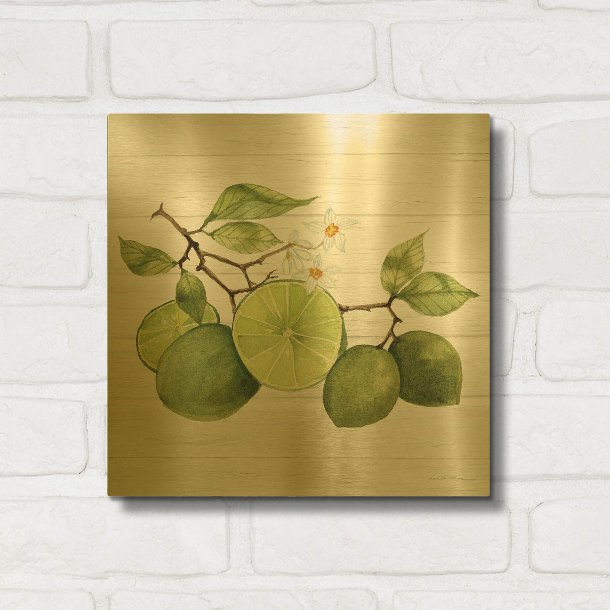 'Citrus Garden 7 Shiplap' By Kathleen Parr Gold Metal Wall Art