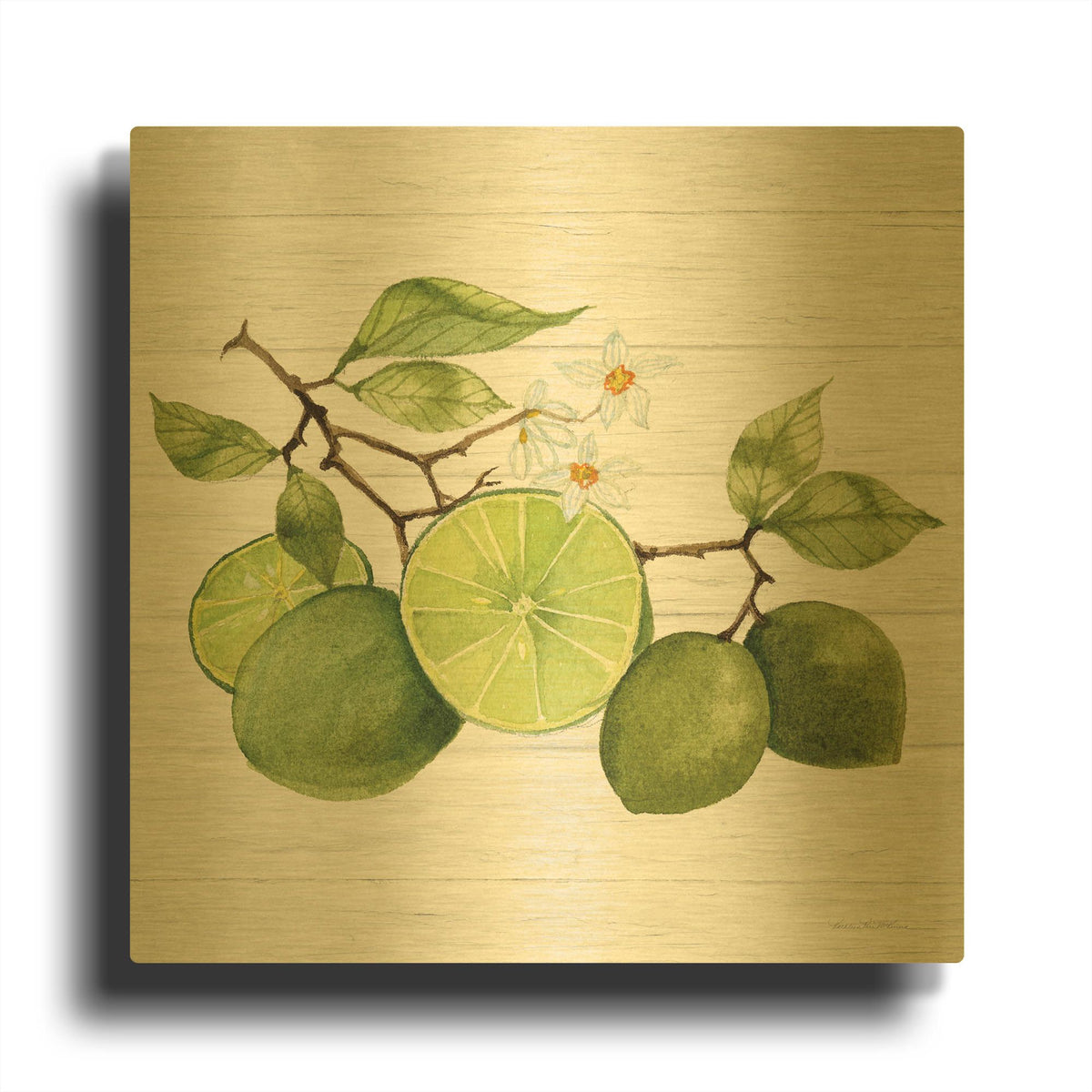 'Citrus Garden 7 Shiplap' By Kathleen Parr Gold Metal Wall Art