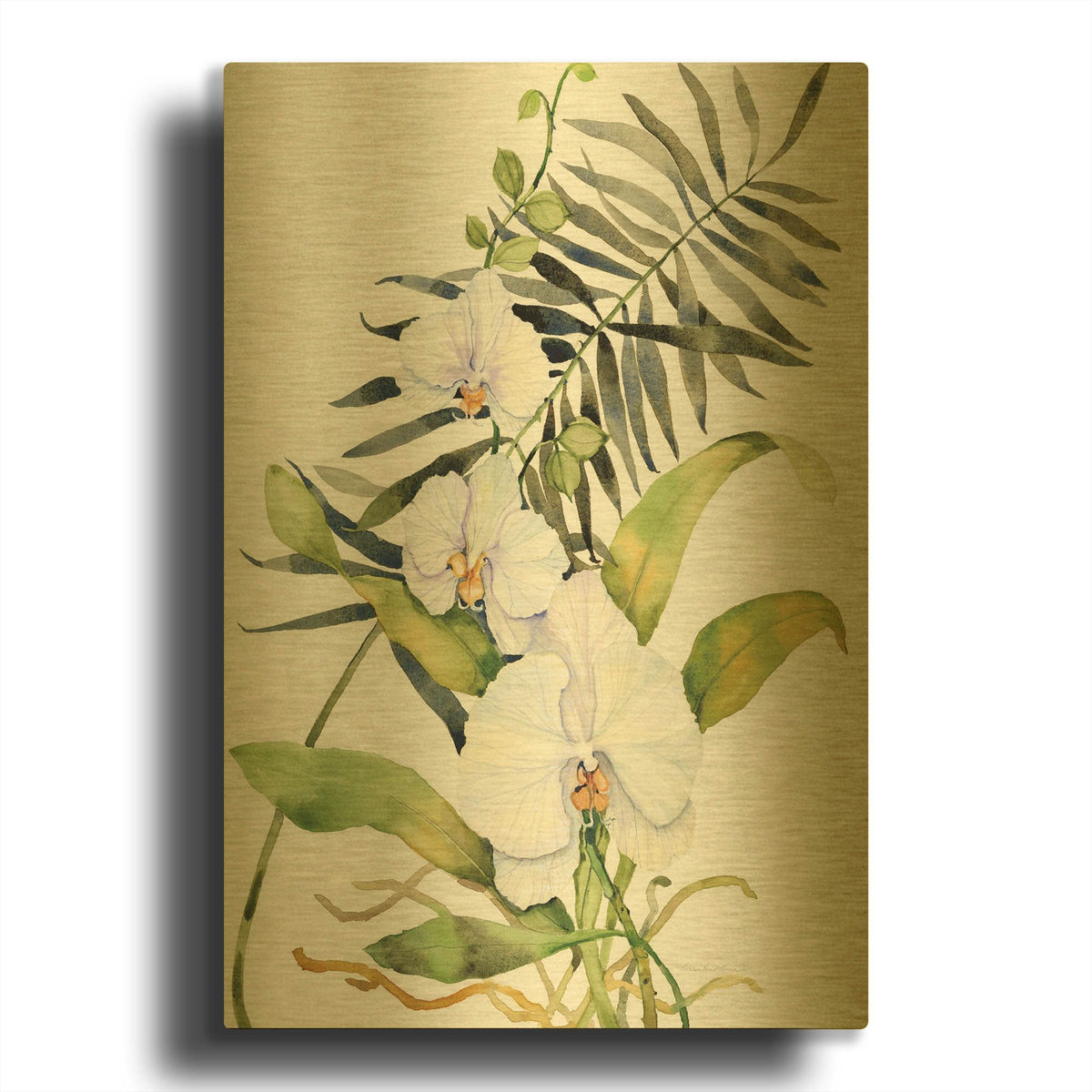'Botanical Phalaenopsis' By Kathleen Parr Gold Metal Wall Art