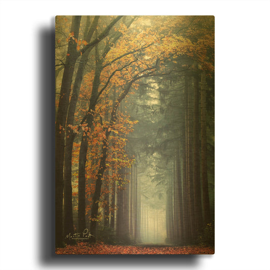 'To Another World' By Martin Podt Gold Metal Wall Art