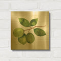 'Citrus Garden 2 Shiplap' By Kathleen Parr Gold Metal Wall Art
