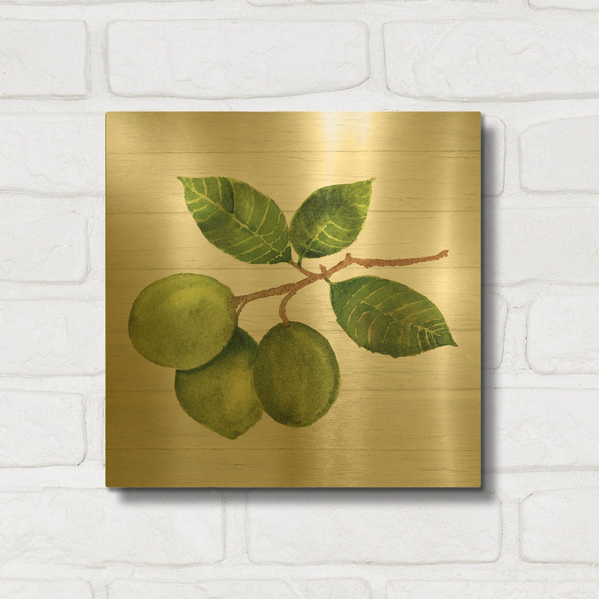'Citrus Garden 2 Shiplap' By Kathleen Parr Gold Metal Wall Art