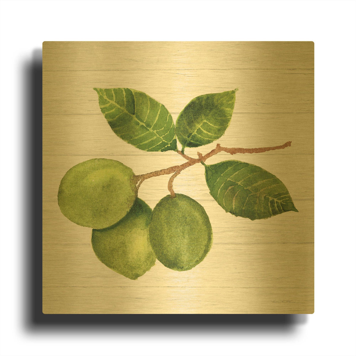 'Citrus Garden 2 Shiplap' By Kathleen Parr Gold Metal Wall Art