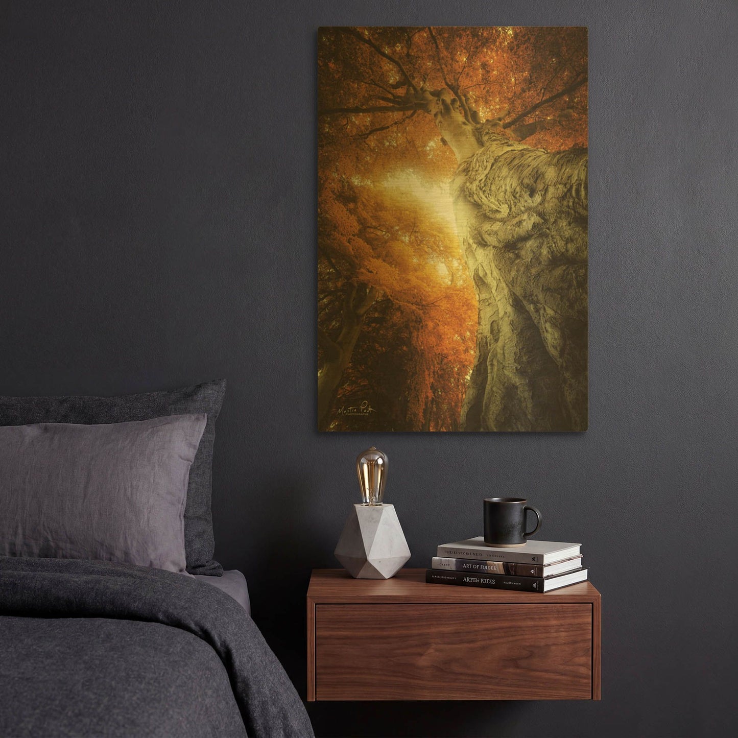 'Look Up Autumn' By Martin Podt Gold Metal Wall Art
