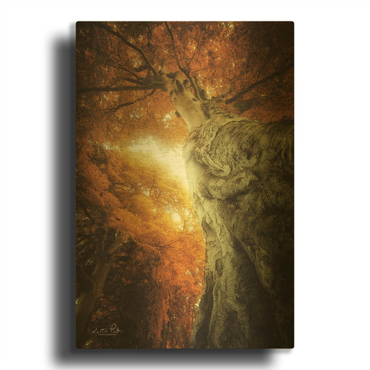 'Look Up Autumn' By Martin Podt Gold Metal Wall Art