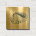 'Shells 2 Blue and White' By Kathleen Parr Gold Metal Wall Art