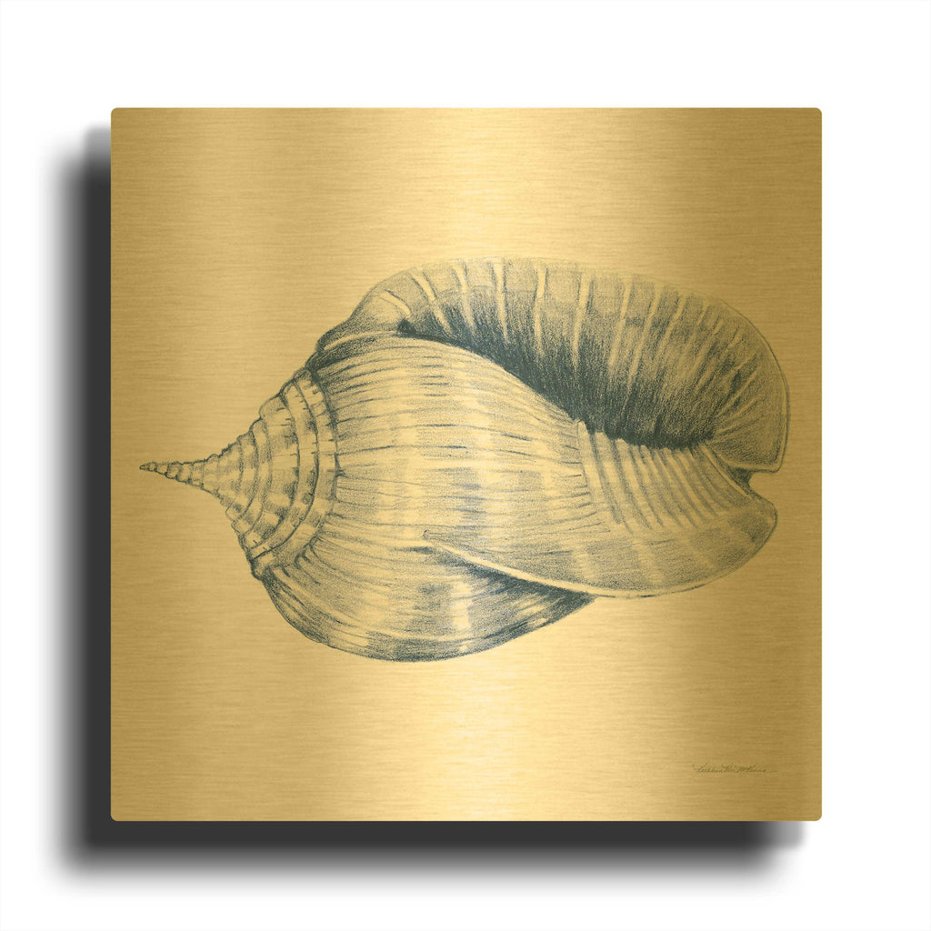 'Shells 2 Blue and White' By Kathleen Parr Gold Metal Wall Art