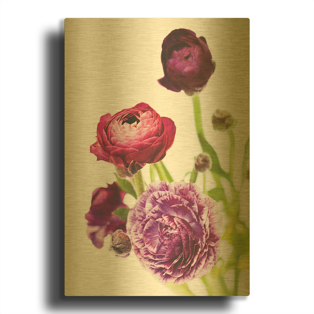 'Spring Ranunculus 6' By Laura Marshall Gold Metal Wall Art