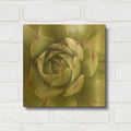 'Garden Succulents 2 Color' By Laura Marshall Gold Metal Wall Art