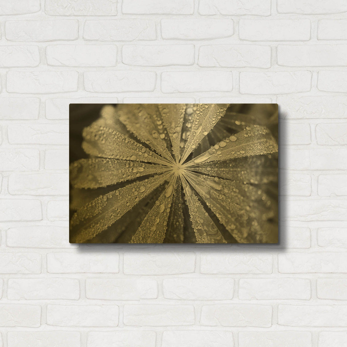 'Raindrops On Lupine' By Laura Marshall Gold Metal Wall Art