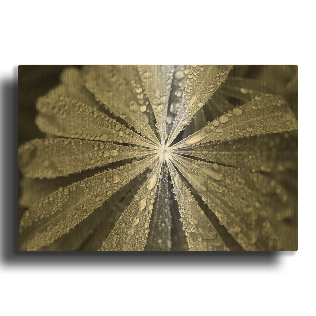 'Raindrops On Lupine' By Laura Marshall Gold Metal Wall Art