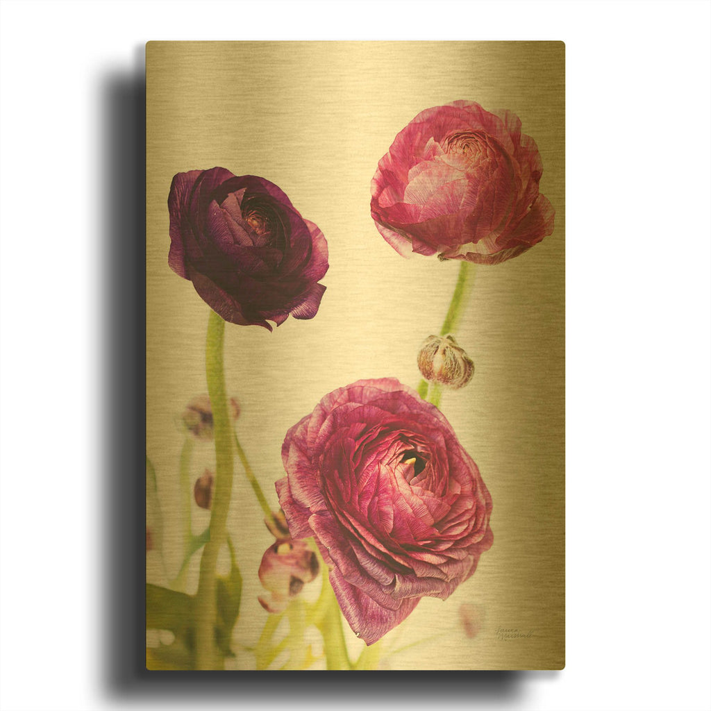 'Spring Ranunculus V' By Laura Marshall Gold Metal Wall Art