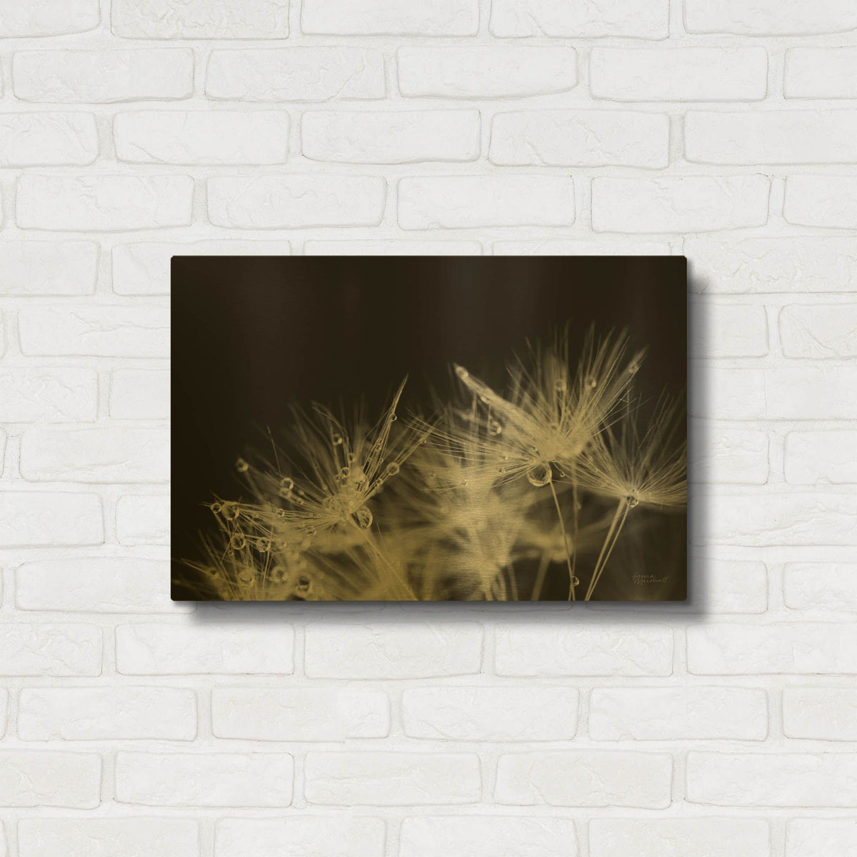 'Dandelion Dewdrops 2' By Laura Marshall Gold Metal Wall Art
