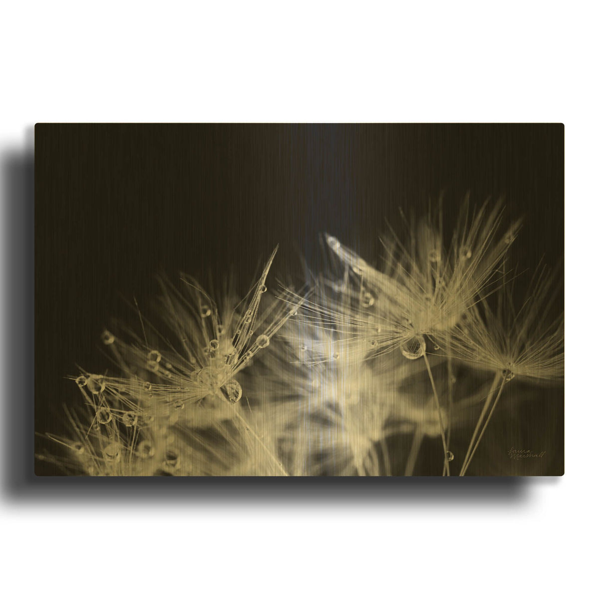 'Dandelion Dewdrops 2' By Laura Marshall Gold Metal Wall Art