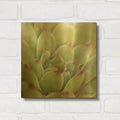 'Garden Succulents 1 Color' By Laura Marshall Gold Metal Wall Art
