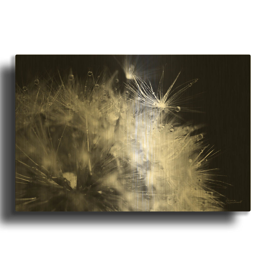 'Dandelion Dewdrops 1' By Laura Marshall Gold Metal Wall Art