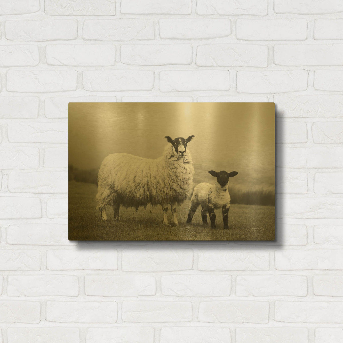 'Islay Sheep 1' By Laura Marshall Gold Metal Wall Art