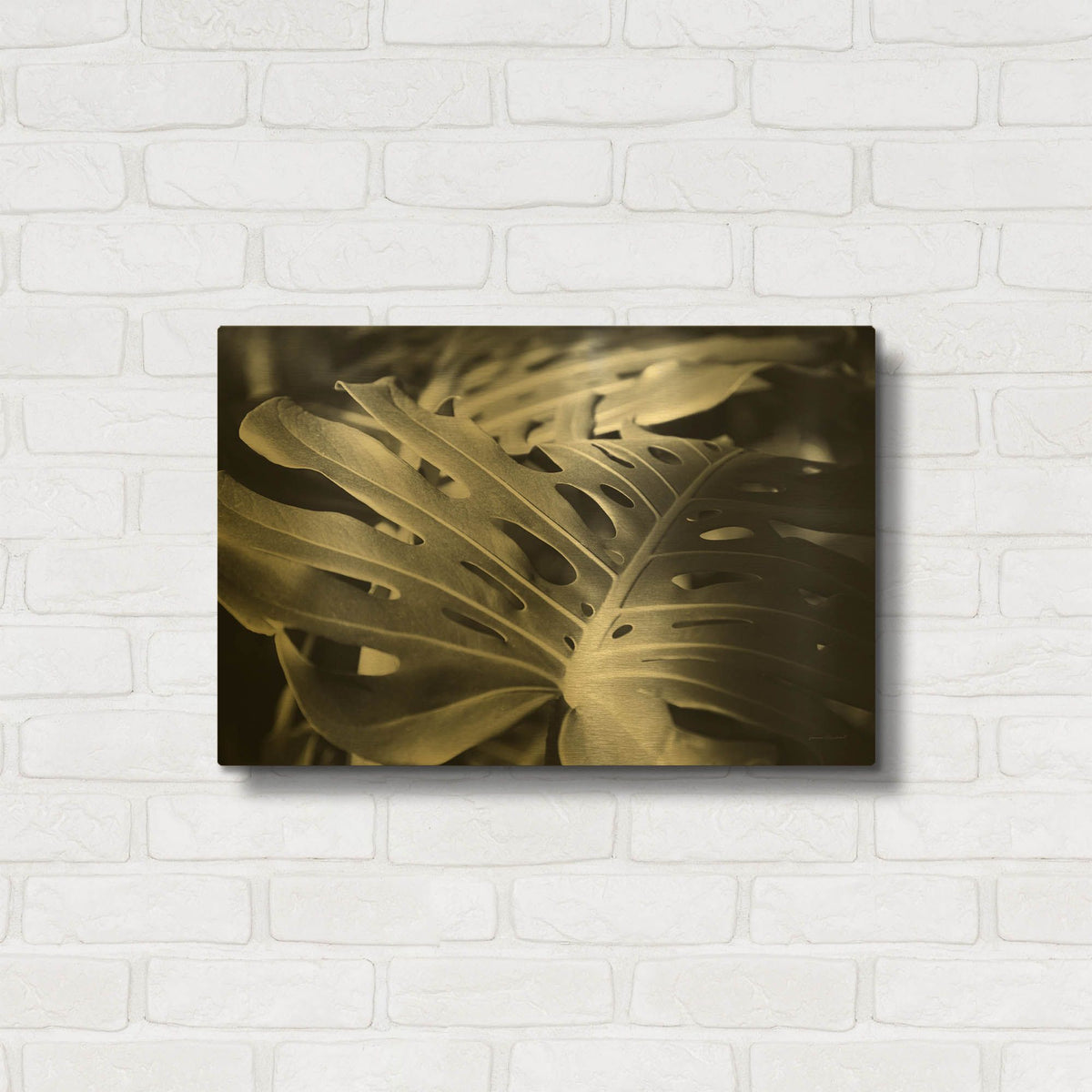'Philodendron' By Laura Marshall Gold Metal Wall Art