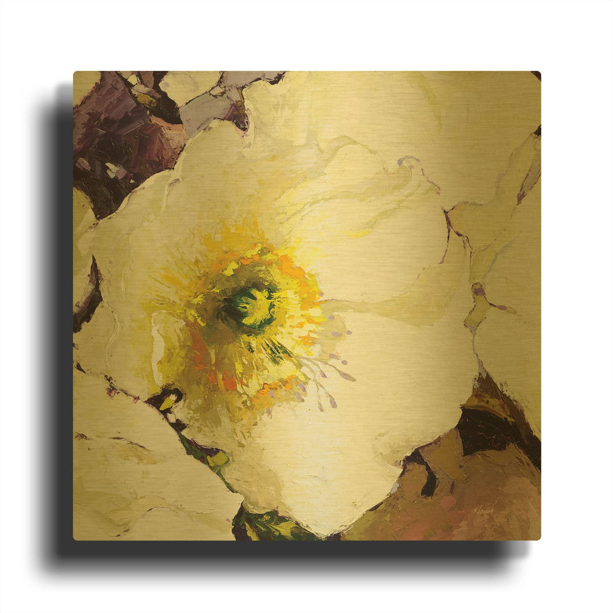 'White Poppies Up Close' By Shirley Novak Gold Metal Wall Art