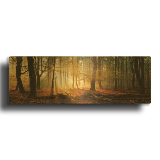 'Speulderbos Panorama' By Martin Podt Gold Metal Wall Art