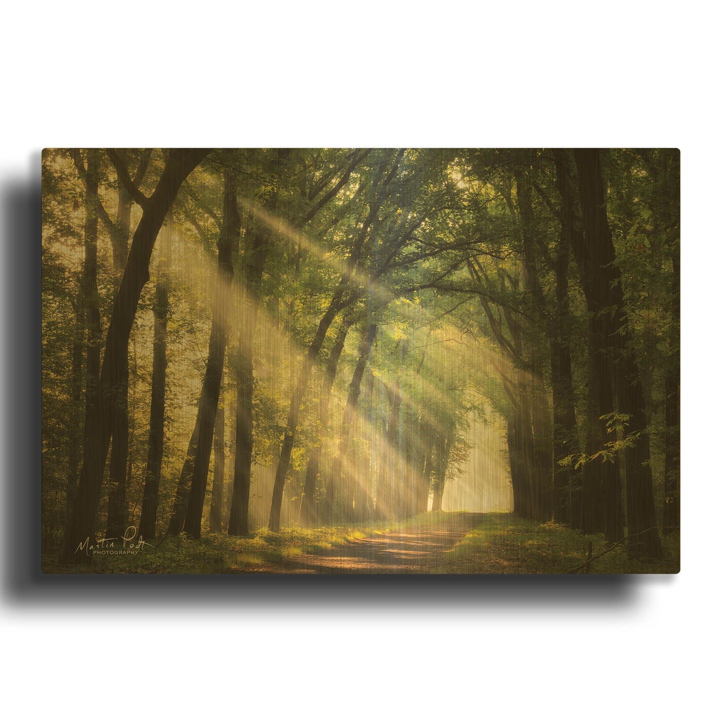 'The Light of Lochem' By Martin Podt Gold Metal Wall Art