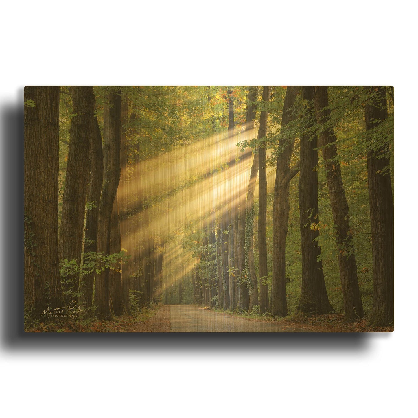 'Rayzor Light' By Martin Podt Gold Metal Wall Art