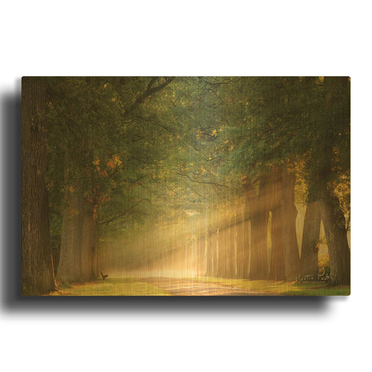 'Perfect Place to Sit' By Martin Podt Gold Metal Wall Art