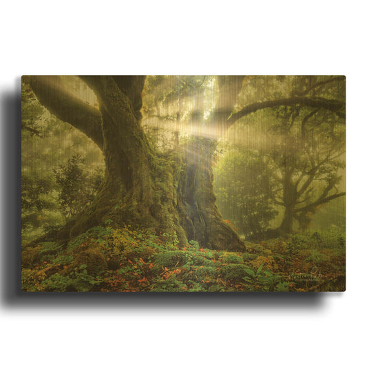 'One-Two Tree' By Martin Podt Gold Metal Wall Art