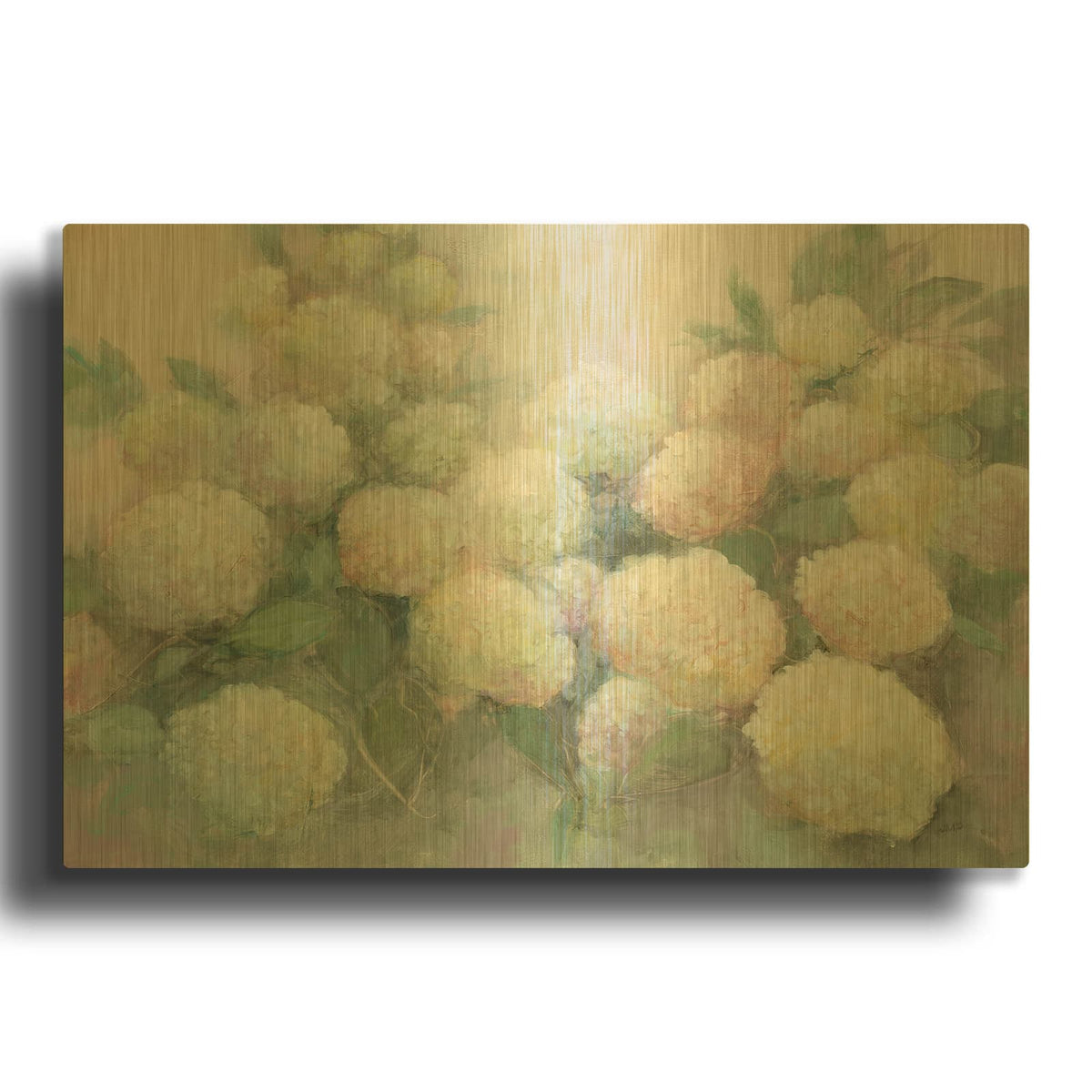 'Annabelle Hydrangeas C' By Julia Purinton Gold Metal Wall Art