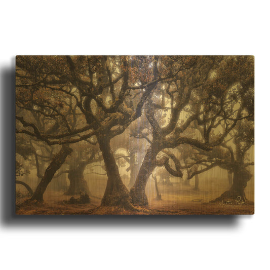 'The Hidden Truth' By Martin Podt Gold Metal Wall Art