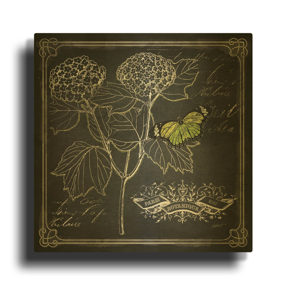 'Chalkboard Botanical 1' By Katie Pertiet Gold Metal Wall Art