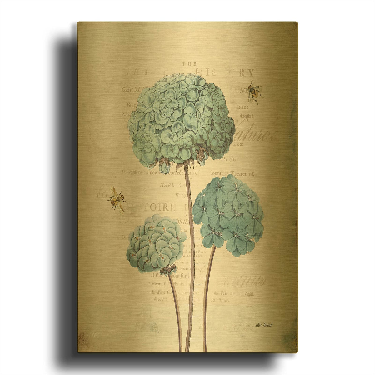 'Geranium Study 1' By Katie Pertiet Gold Metal Wall Art