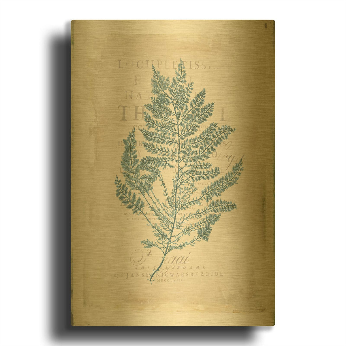 'Sea Garden 3' By Katie Pertiet Gold Metal Wall Art